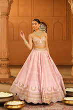 Load image into Gallery viewer, Light lehenga