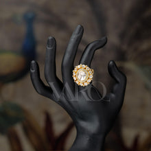 Load image into Gallery viewer, Amol