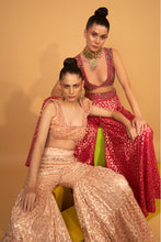 Load image into Gallery viewer, rani banarasi chanderi sharara with organza cape and blouse