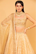 Load image into Gallery viewer, orange banarasi organza lehenga with organza dupattat and blouse