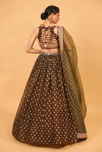 Load image into Gallery viewer, brown banarasi organza lehenga with organza dupattat and blouse