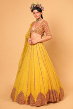 Load image into Gallery viewer, yellow net lehenga set with organza dupattat and blouse