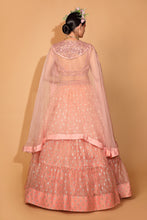Load image into Gallery viewer, peach banarasi organza lehenga wite organza cape and blouse