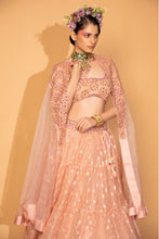 Load image into Gallery viewer, peach banarasi organza lehenga wite organza cape and blouse