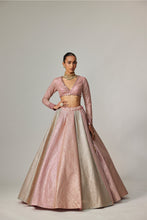 Load image into Gallery viewer, DARK BLUSH MULTICOLOR METALLIC GOTA CROP TOP SKIRT
