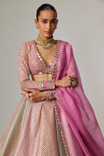 Load image into Gallery viewer, DARK BLUSH MULTICOLOR METALLIC GOTA CROP TOP SKIRT WITH DARK BLUSH DUPATTA