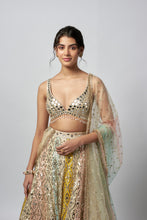 Load image into Gallery viewer, Ranjeeta Lehenga set