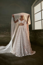 Load image into Gallery viewer, Blush Pink Lehenga Choli Set