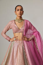 Load image into Gallery viewer, DARK BLUSH MULTICOLOR METALLIC GOTA CROP TOP SKIRT WITH DARK BLUSH DUPATTA