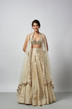 Load image into Gallery viewer, Shravani Lehenga Set