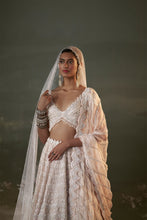 Load image into Gallery viewer, Blush Pink Lehenga Choli Set