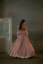 Load image into Gallery viewer, Old Rose Lehenga Choli Set