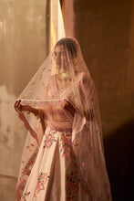 Load image into Gallery viewer, Pink Raw Silk Double Dupatta Lehenga Set