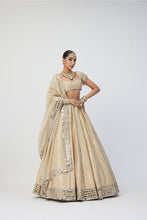 Load image into Gallery viewer, Golden Shimmer Organza Linear Lehenga Set