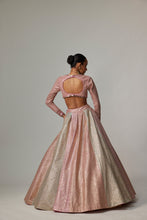 Load image into Gallery viewer, DARK BLUSH MULTICOLOR METALLIC GOTA CROP TOP SKIRT WITH AQUA DUPATTA