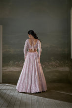 Load image into Gallery viewer, Pink Lehenga Choli Set