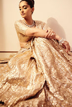 Load image into Gallery viewer, Raabta Lehenga set