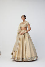 Load image into Gallery viewer, Golden Shimmer Organza Linear Lehenga Set