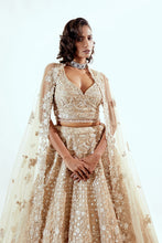 Load image into Gallery viewer, DAISY BEIGE - DAISY ORGANZA LEHENGA SET