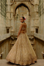 Load image into Gallery viewer, Gold Net Lehenga Set