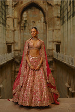 Load image into Gallery viewer, Rust Mirror Lehenga Set