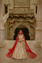 Load image into Gallery viewer, Gold Lehenga Set