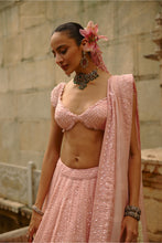 Load image into Gallery viewer, Pink Net Lehenga Set