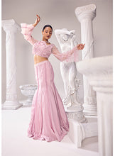 Load image into Gallery viewer, Harmony Fishcut lehenga set