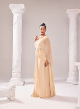 Load image into Gallery viewer, A-Symmetrical drape saree