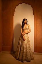 Load image into Gallery viewer, Daina Lehenga Set