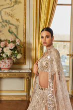 Load image into Gallery viewer, Rose Gold Mirror Work Lehenga Set