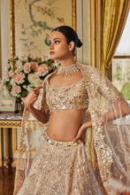 Load image into Gallery viewer, Rose Gold Mirror Work Lehenga Set
