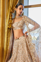 Load image into Gallery viewer, Rose Gold Mirror Work Lehenga Set