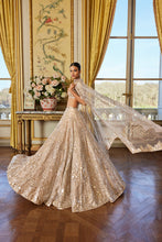 Load image into Gallery viewer, Rose Gold Mirror Work Lehenga Set