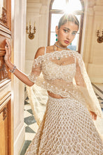 Load image into Gallery viewer, Nude Pearl Drop Lehenga Set