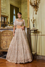 Load image into Gallery viewer, Wheat Pearl Lehenga Set