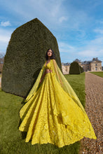 Load image into Gallery viewer, Yellow Sequin Lehenga Set