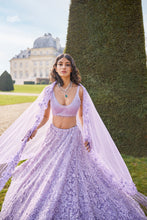 Load image into Gallery viewer, Mauve Sequin Lehenga Set