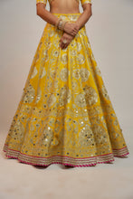 Load image into Gallery viewer, Golconda Anha Lehenga set