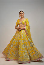 Load image into Gallery viewer, Golconda Anha Lehenga set
