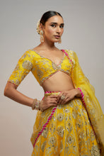 Load image into Gallery viewer, Golconda Anha Lehenga set