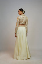 Load image into Gallery viewer, Golconda Shaziya skirt set