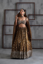 Load image into Gallery viewer, Brown embroidered blouse, lehenga and dupatta