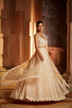 Load image into Gallery viewer, NUDE PINK TULLE LEHENGA CHOLI DUPATTA SET WITH WORKED BELT