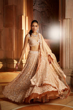 Load image into Gallery viewer, PEACH TULLE LEHENGA CHOLI DUPATTA SET