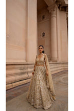 Load image into Gallery viewer, GOLD TULLE LEHENGA CHOLI SET