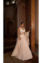 Load image into Gallery viewer, NUDE PINK TULLE LEHENGA CHOLI DUPATTA SET WITH WORKED BELT
