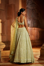 Load image into Gallery viewer, LIME GREEN TULLE LEHENGA CHOLI DUPATTA SET