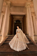 Load image into Gallery viewer, MUSHROOM OMBRE DYED ORGANZA LEHENGA CHOLI SET WITH TULLE DUPATTA