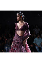 Load image into Gallery viewer, Crystal sheeted choli paired with Embroidered and cutwork edge shimmer tulle dupatta